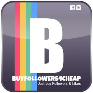 buy cheap followers fastly