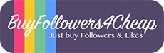 Buy Followers 4 Cheap Logo