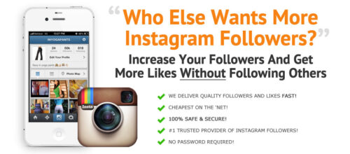 Buy Cheap Followers Fast Starting at $1.29